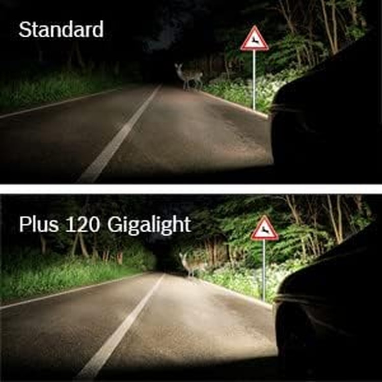 bosch-h1-448-plus-120-gigalight-headlight-bulbs-12-v-55-w-p145s-2-bulbs-08-ivk