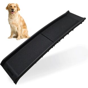 Dogs & Pets