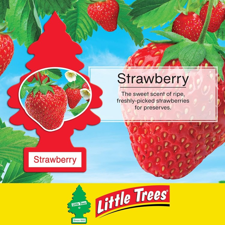 little-trees-air-freshener-tree-mtr0013-strawberry-fragrance-for-car-home-boat-caravan-single-pack-strawberry-1-count-pack-of-1-03-rat