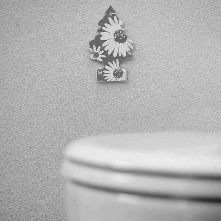 little-trees-tree-house-tree-shaped-air-freshener-holder-clear-single-item-clear-1-count-pack-of-1-06-rxa
