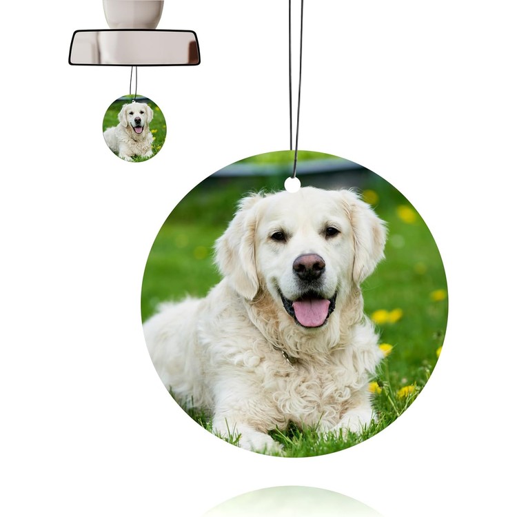 personalised-car-air-freshener-with-double-printed-photo-custom-pictures-and-scents-for-rearview-mirror-wardrobe-bathroom-hanging-ornamentscircle-circ-01-zdq