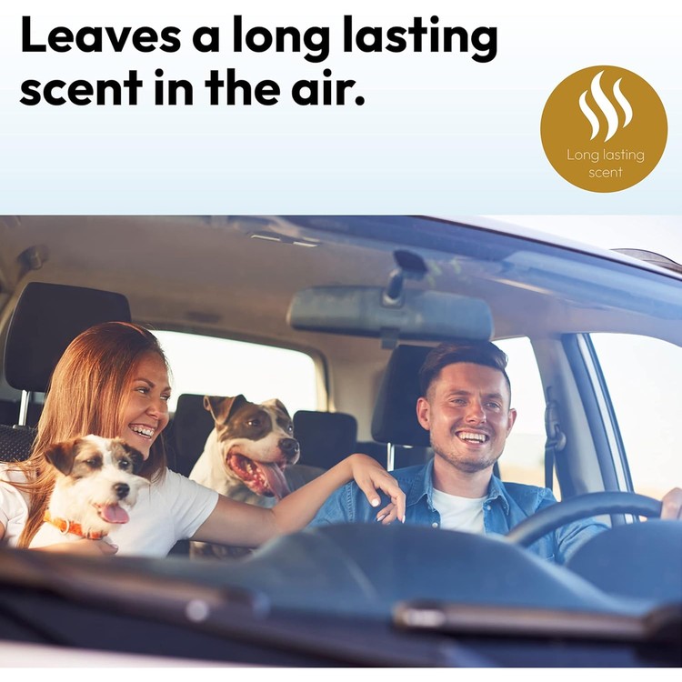 truessence-air-freshener-spray-odour-eliminator-for-home-cars-clothes-shoes-400ml-one-billion-06-syo